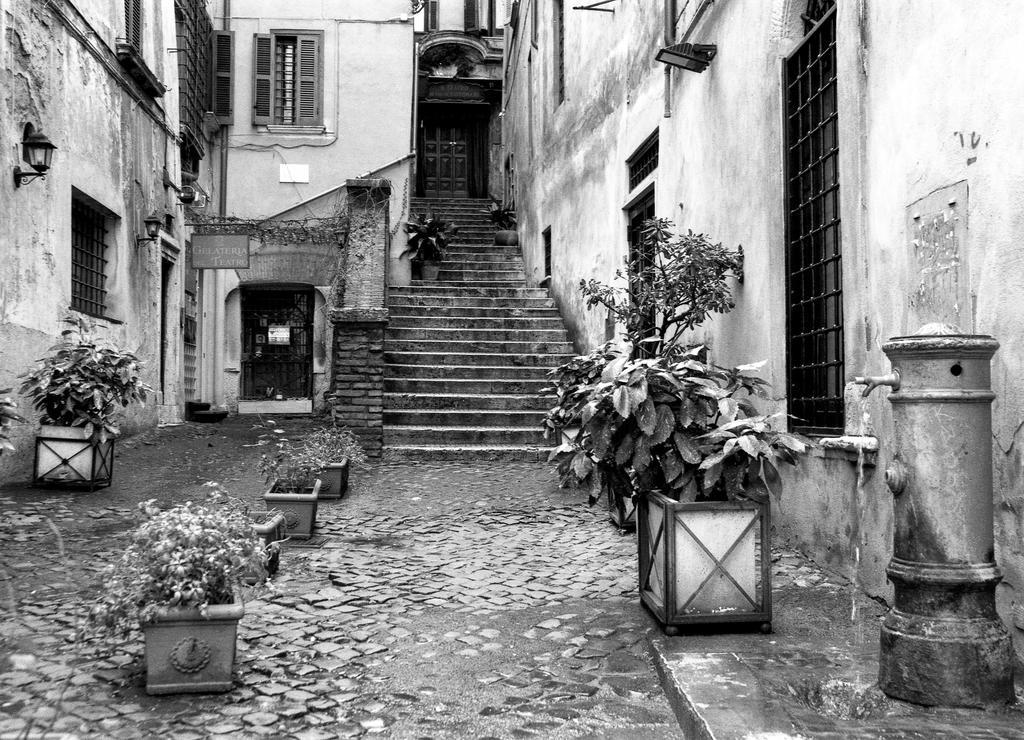 La Casa Di Emma A Trastevere * Roma
